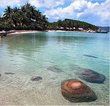 ���ŵ��� nhatrang ��Խ��
